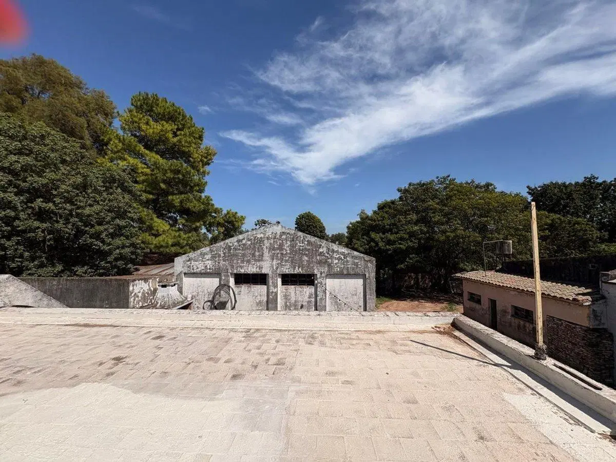 VENTA DE 3 GALPONES CON CASA SOBRE RUTA 11 5