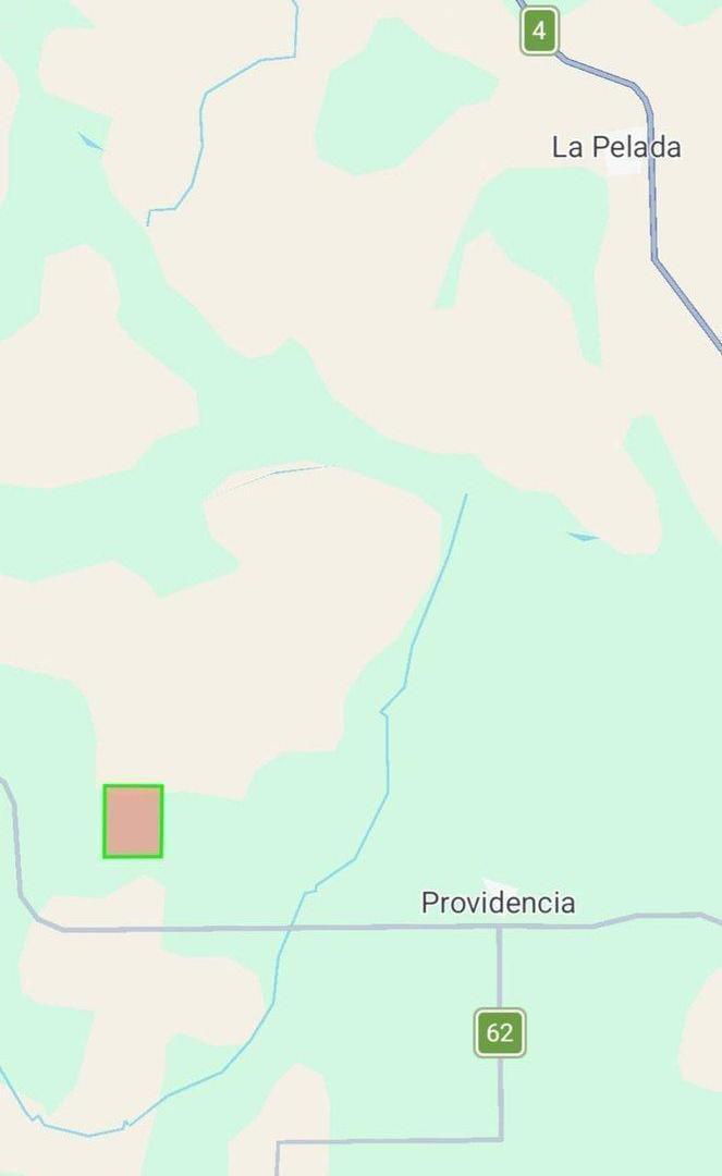Foto de CAMPO MIXTO DE 137 Ha EN PROVIDENCIA, SANTA FE, imagen 2