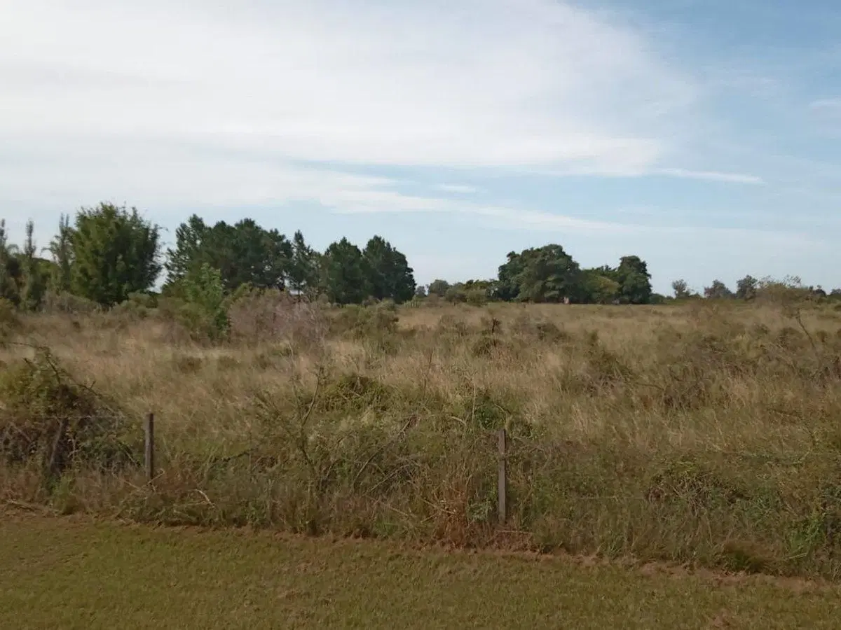 VENTA 2 Ha ARROYO LEYES 2