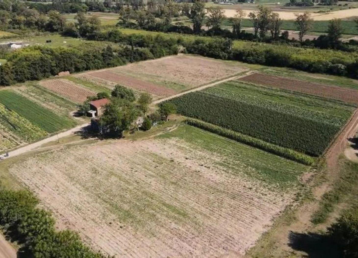 Foto de SE VENDE LOTE EN LOTEO SAN MIGUEL, imagen 3