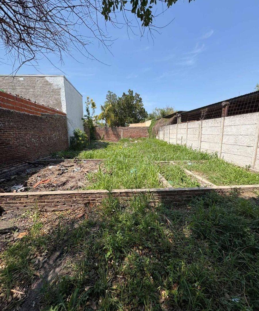 Foto de Terreno en Barrio Guadalupe, imagen 4