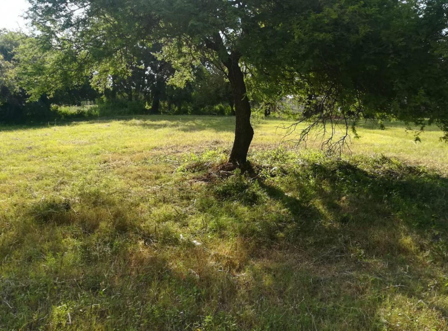 Foto de AMPLIO TERRENO EN VENTA COLASTINE NORTE, imagen 5