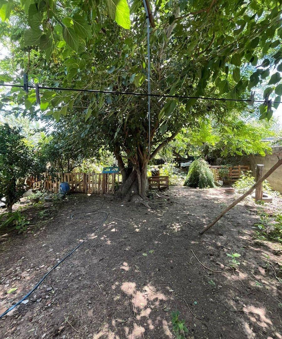 Foto de Se vende casa a remodelar con amplio terreno, imagen 3