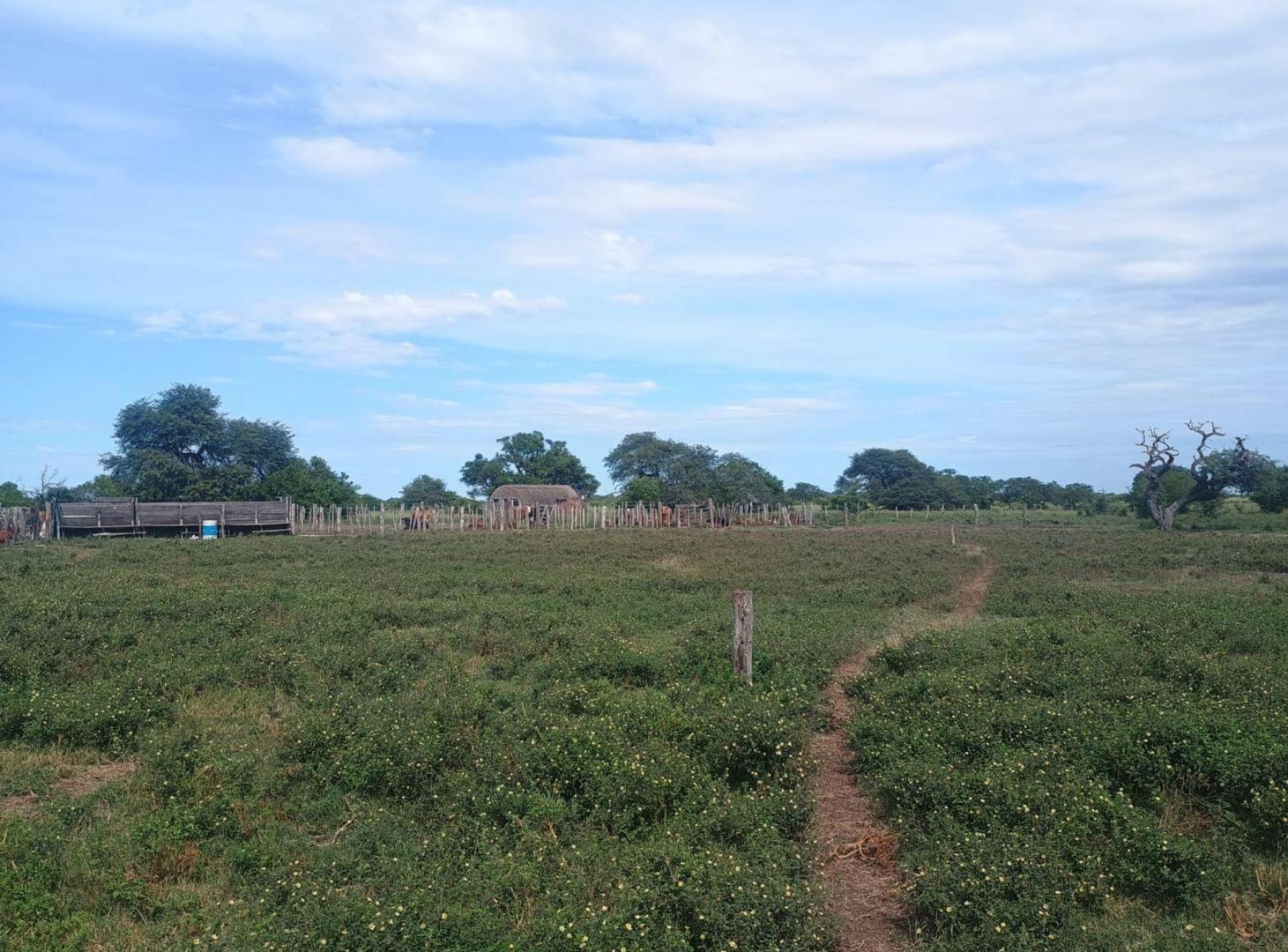 Foto de CAMPO GANADERO de 1097 HAS en San Javier, imagen 2