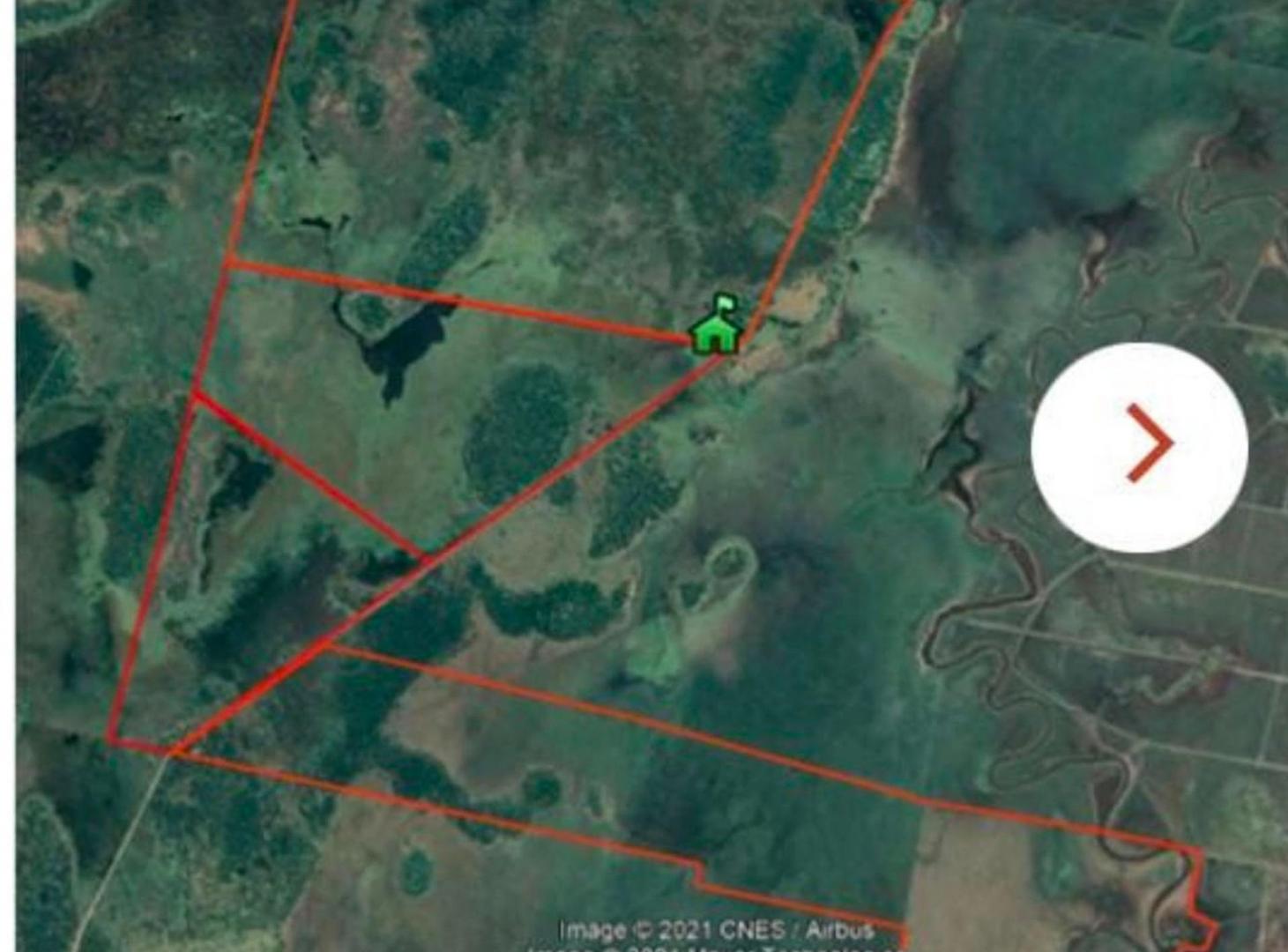 Foto de CAMPO GANADERO de 1097 HAS en San Javier, imagen 4
