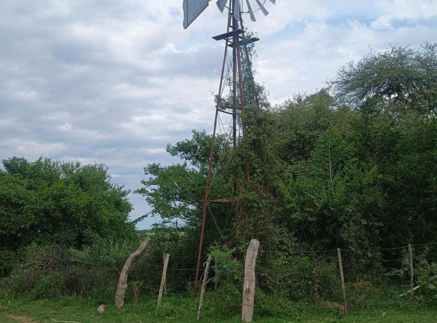 Foto de CAMPO GANADERO de 1097 HAS en San Javier, imagen 1
