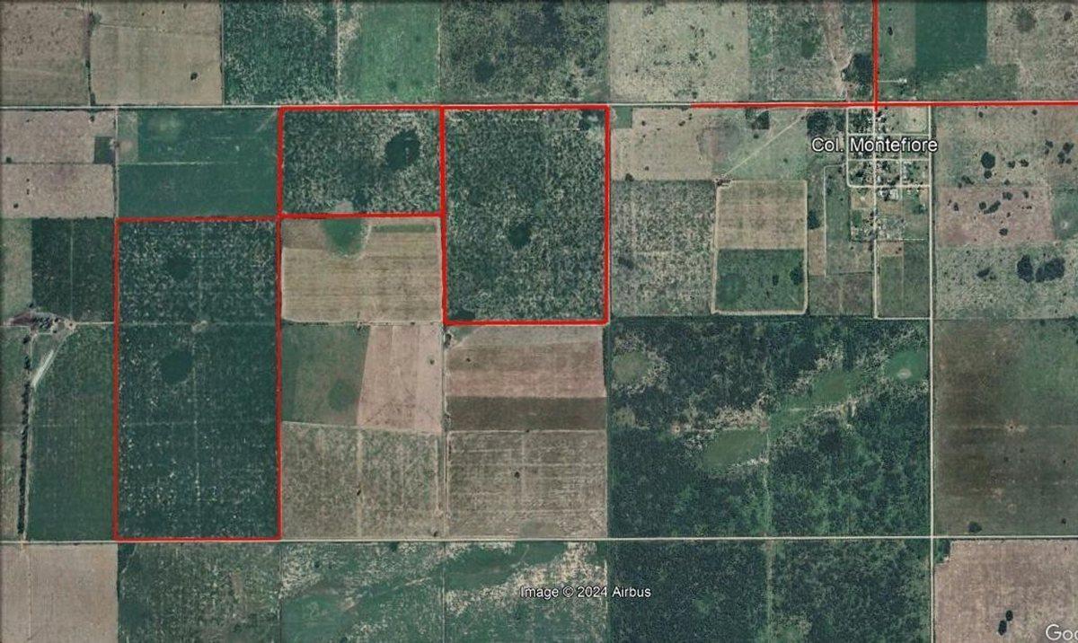 Foto de 225 HA CAMPO AGRCOLA-GANADERO EN MONTEFIORE, imagen 1