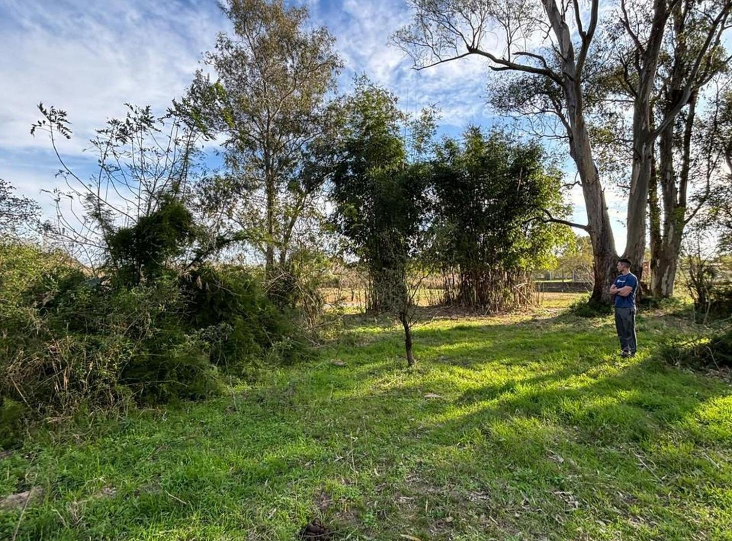 Foto de Gran Lote a 100 mts de Ruta 1, imagen 4