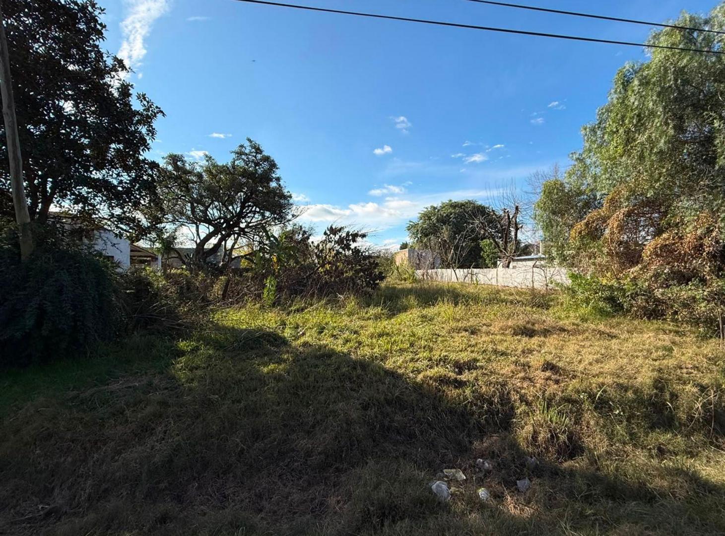 Foto de Se Vende Terreno 880m2 Jorge Newbery, imagen 4