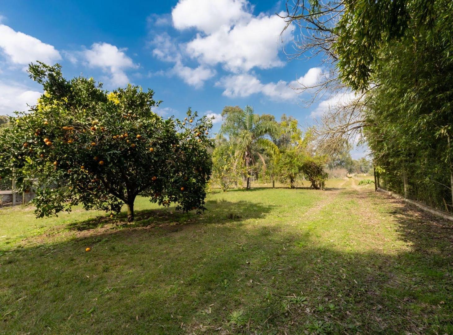 Foto de QUINTA SOBRE ARROYO LEYES CON SALIDA A LA LAGUNA, imagen 3