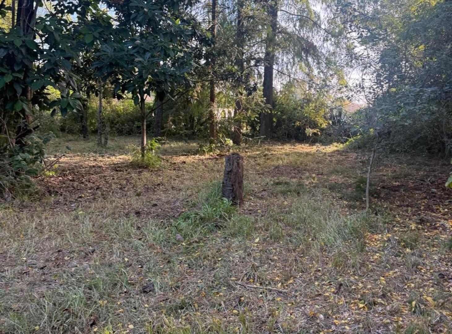 Foto de TERRENO SOBRE CALLE LAS MORAS KM 13, imagen 2