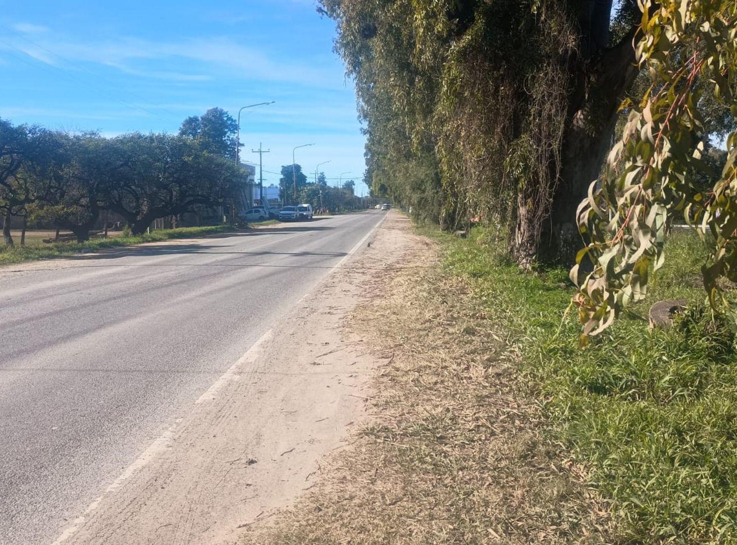 Foto de Se vende lote sobre ruta 70, imagen 4