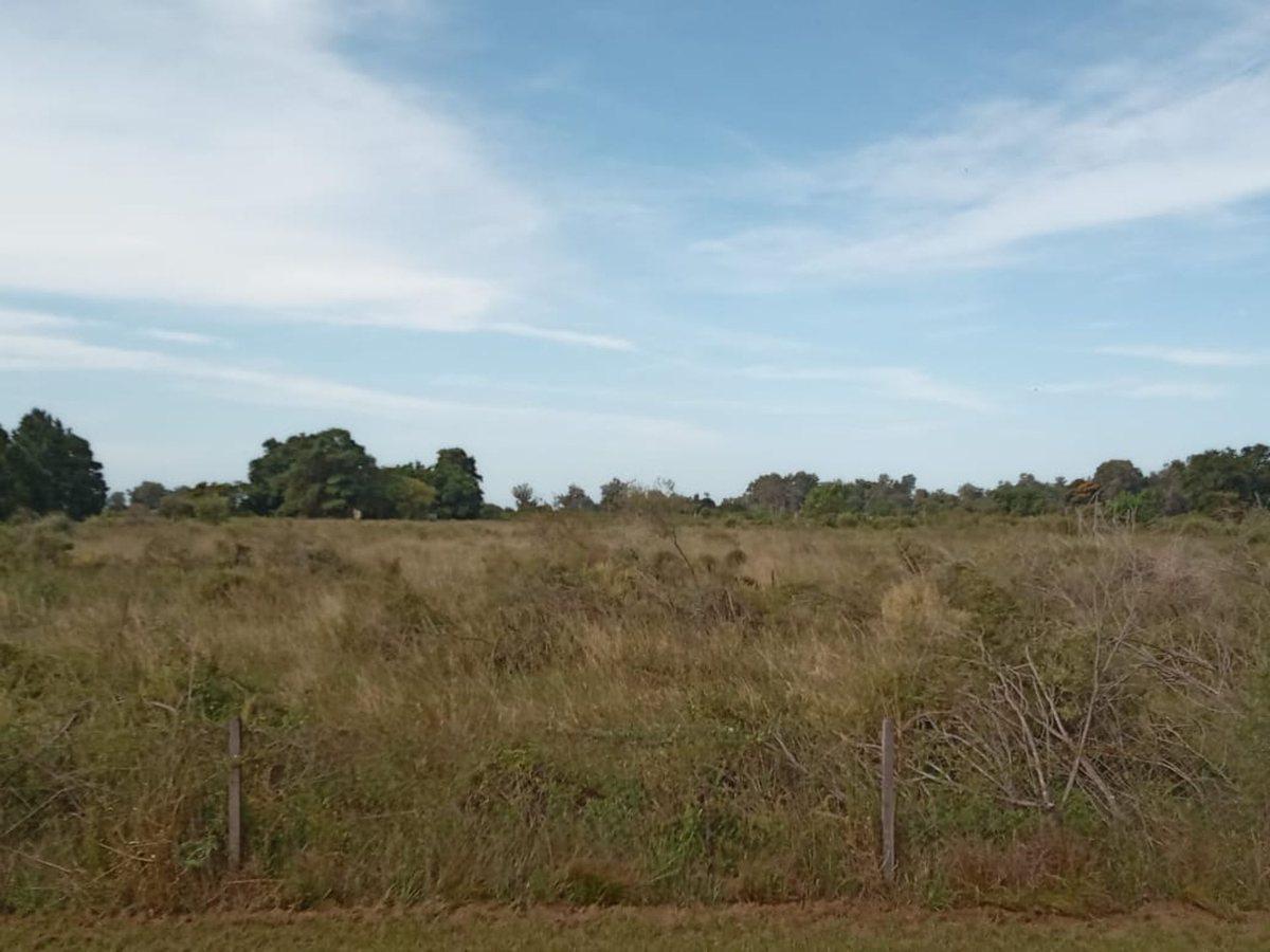 Foto de VENTA 2 Ha ARROYO LEYES, imagen 1