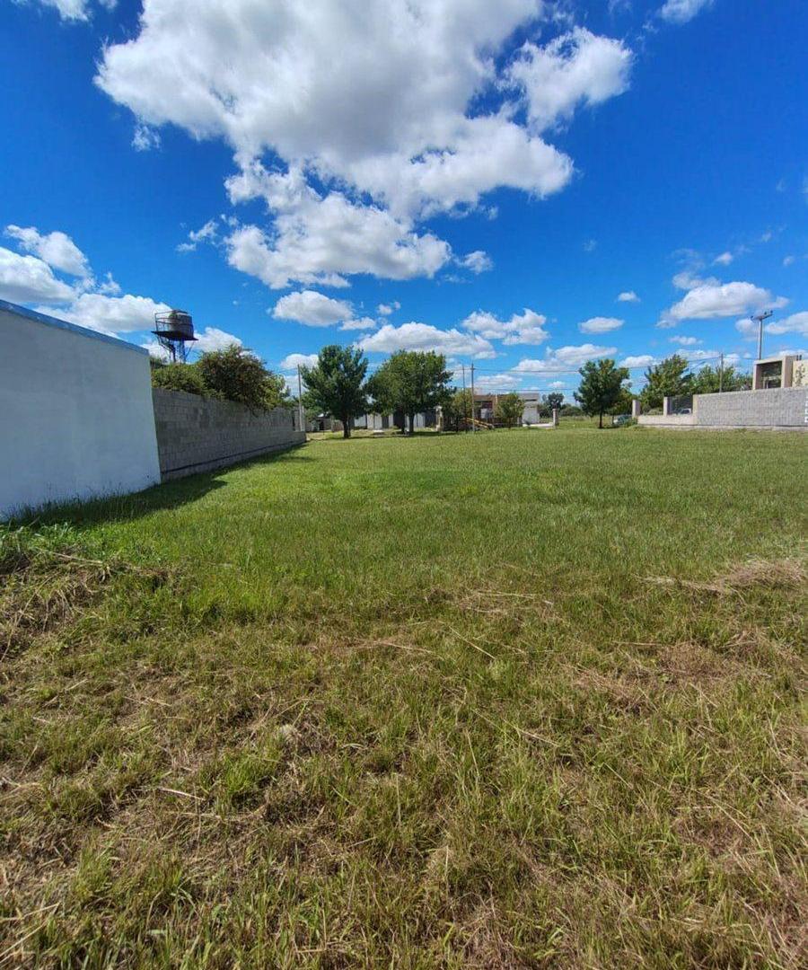 Foto de TERRENO DE GRANDES DIMENSIONES EN ZONA RESIDENCIAL, imagen 3