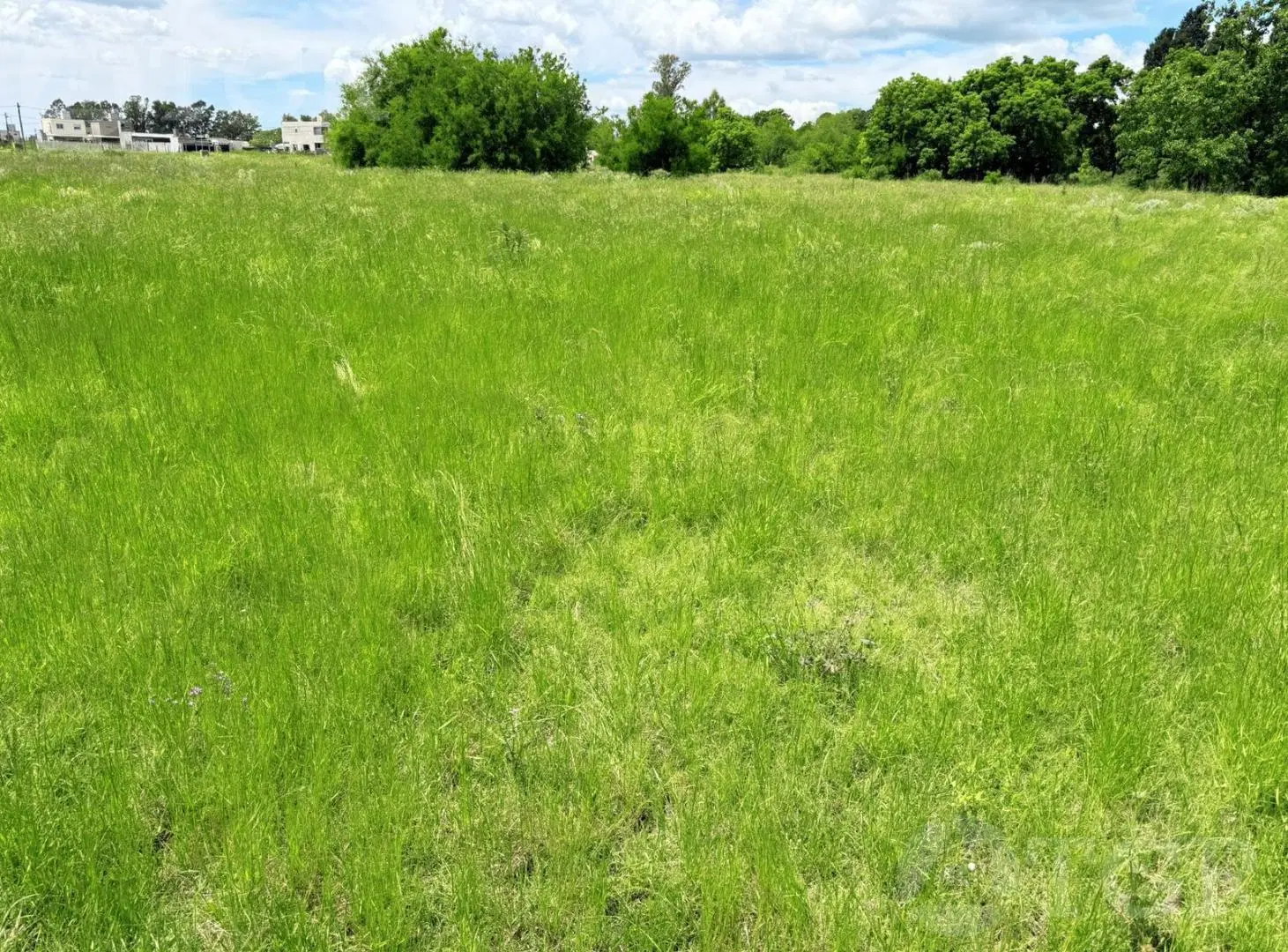 Terreno en Ezeiza 5