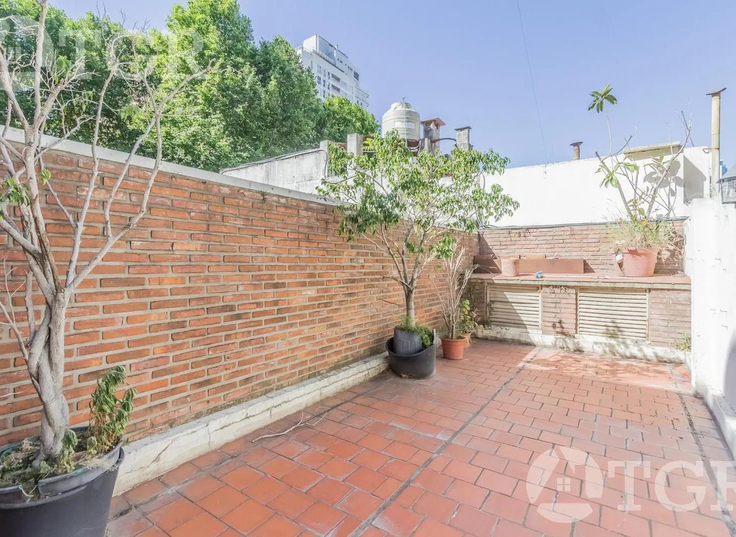 Departamento con patio en Belgrano 3