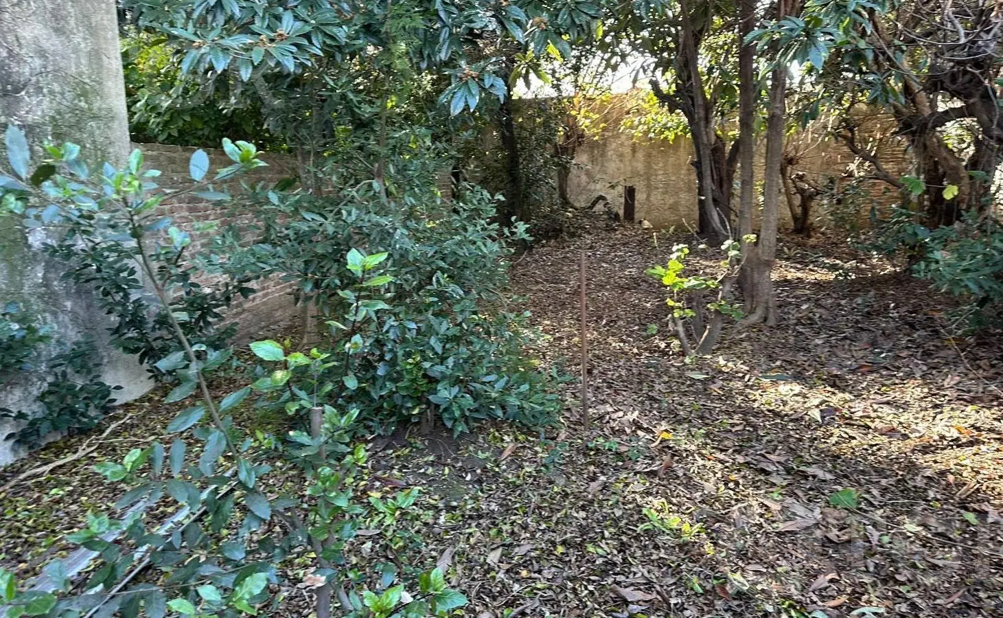 LOTE en EL PALOMAR (zona Club SITAS) 2