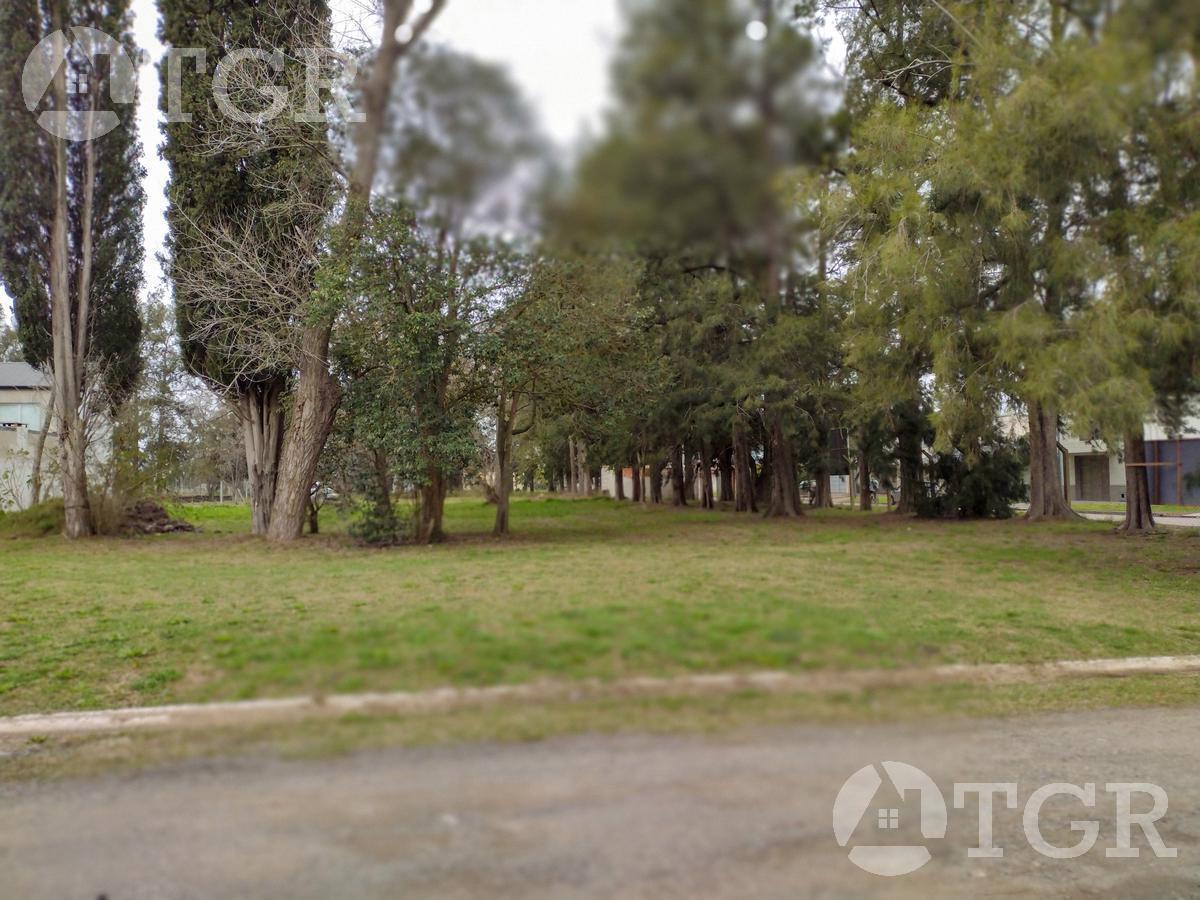 Foto de Terreno - Centro Agricola El Pato, imagen 3
