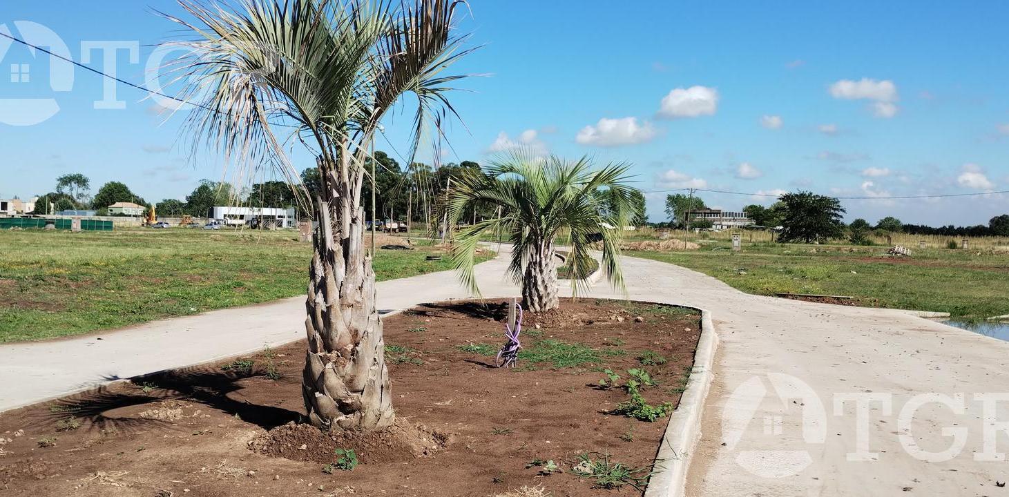 Foto de Terreno en Lagos de Canning, imagen 2
