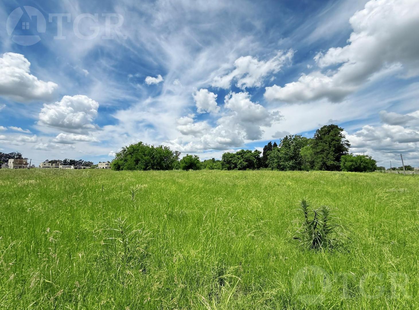 Foto de Terreno en Ezeiza, imagen 5