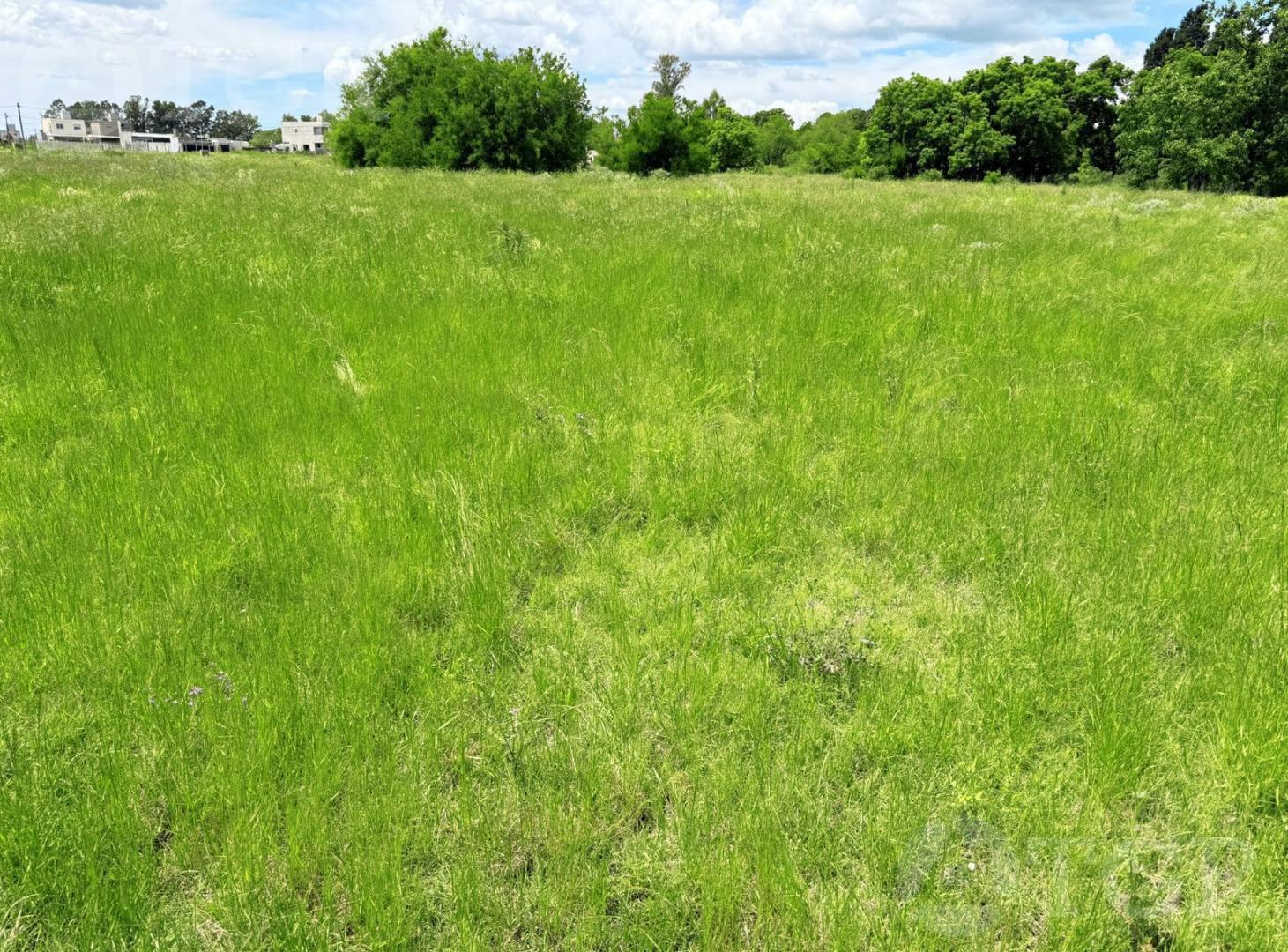 Foto de Terreno en Ezeiza, imagen 4