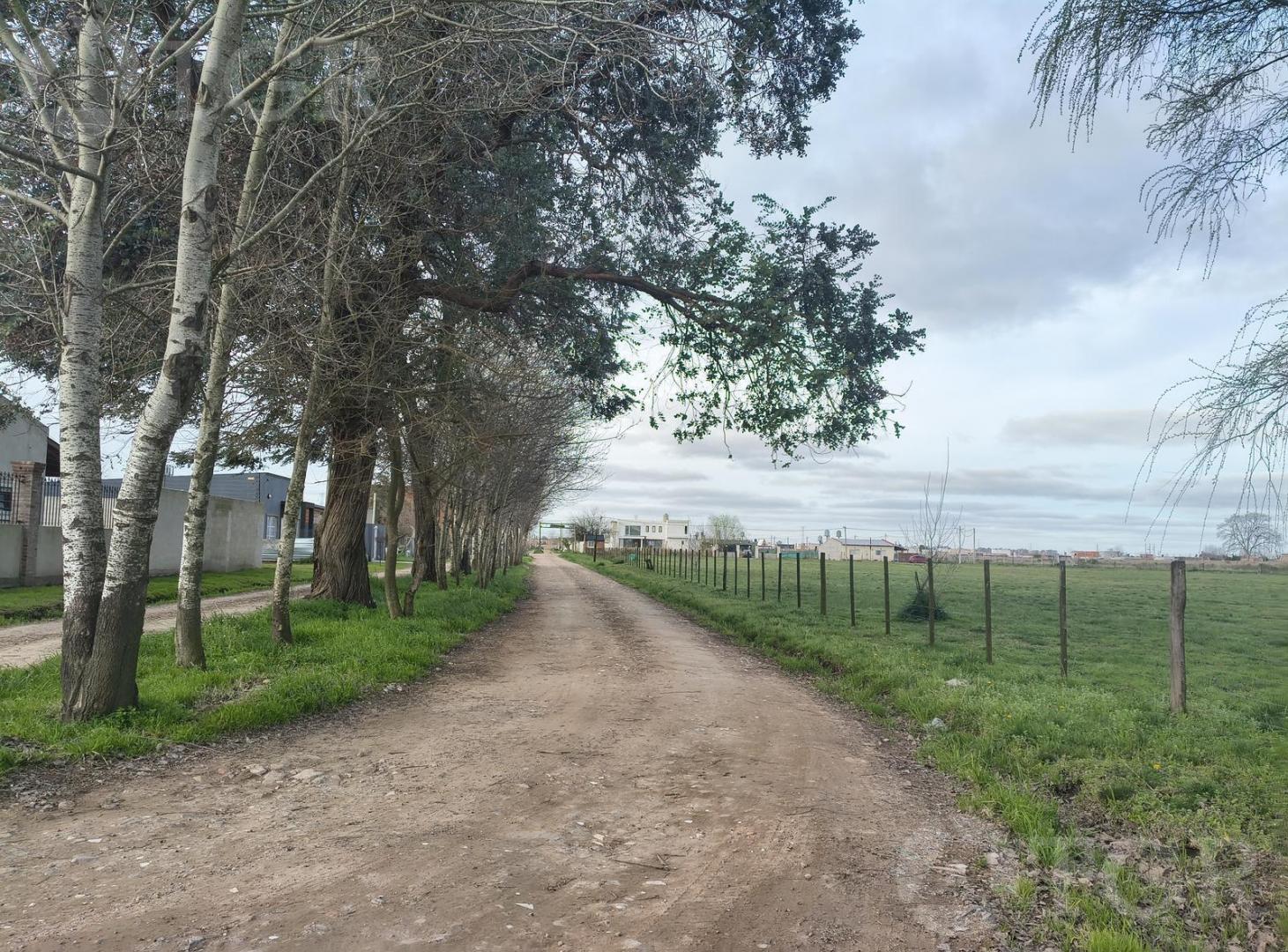 Foto de Terreno en Maximo Paz, imagen 4