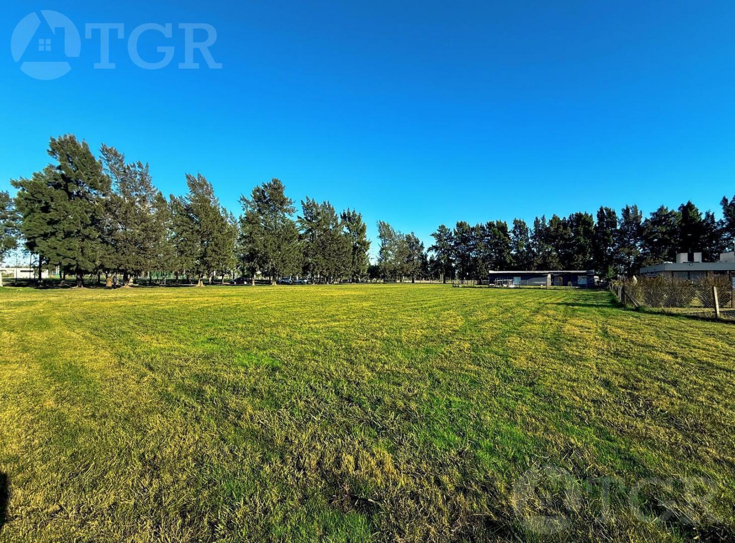 Foto de Gran Lote de 1.300 m² en Venta | Fincas del Alba, imagen 1