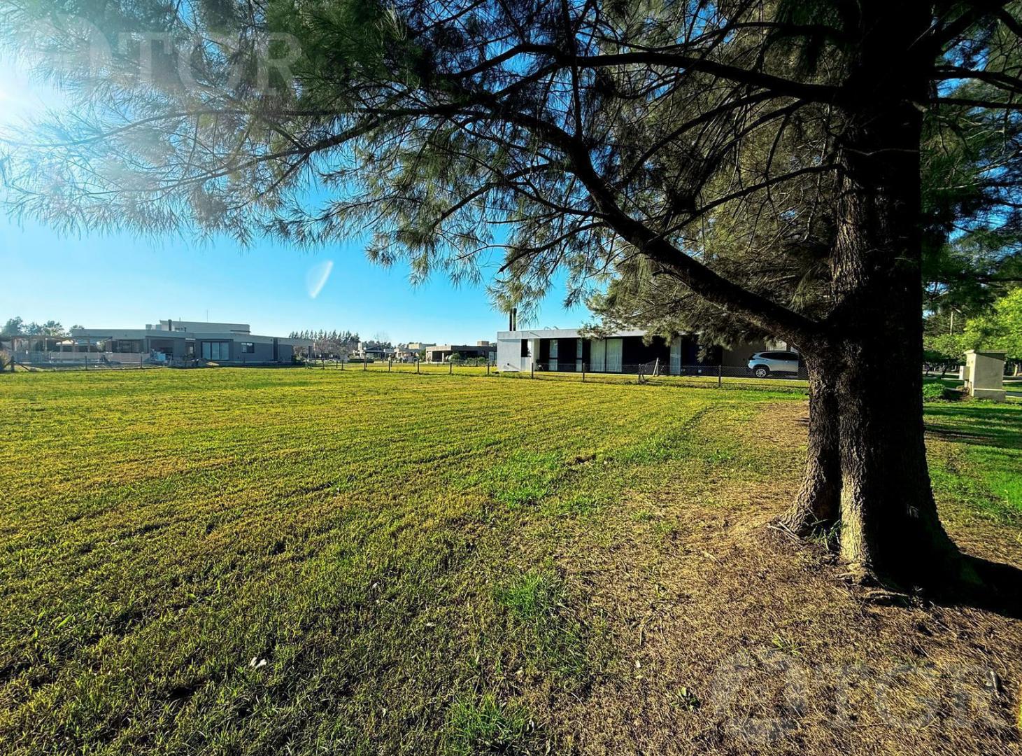 Foto de Gran Lote de 1.300 m² en Venta | Fincas del Alba, imagen 5