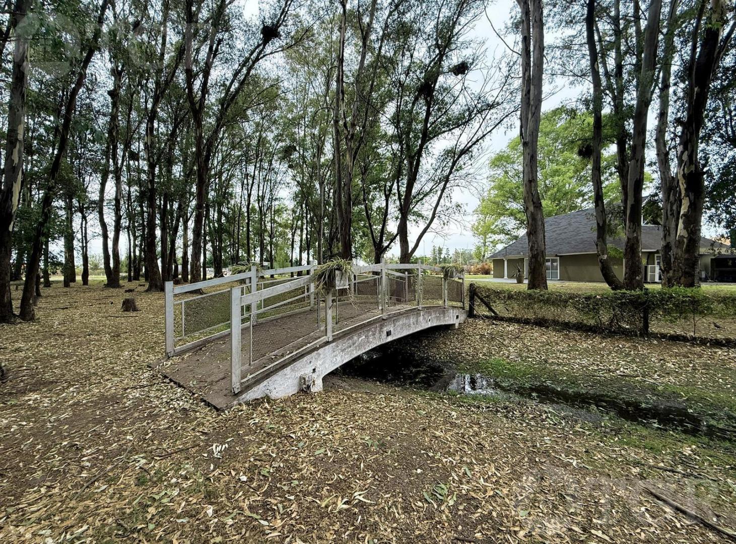 Foto de Venta Lote / Terreno Barrio Don Joaquín Canning, imagen 4