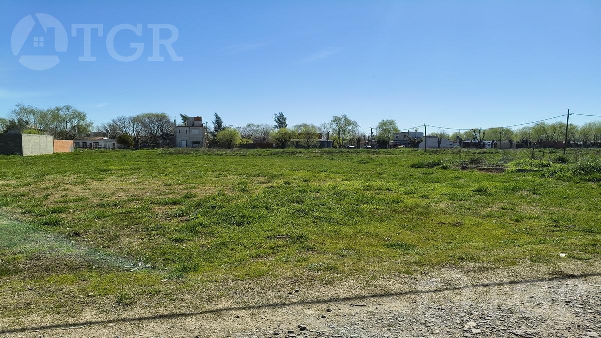 Foto de Terreno en Maximo Paz, imagen 5