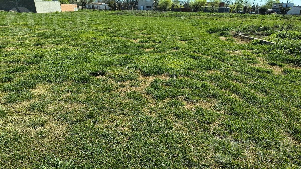 Foto de Terreno en Maximo Paz, imagen 3