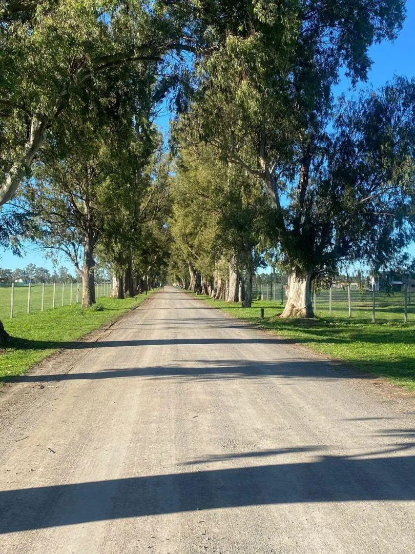Lote 100m2 en Gral. Rodriguez 8