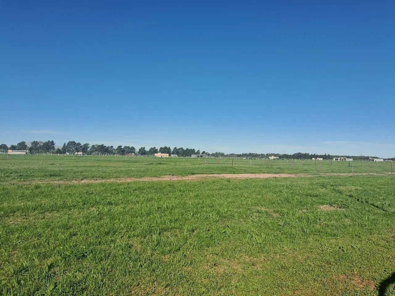 Lote 100m2 en Gral. Rodriguez 2