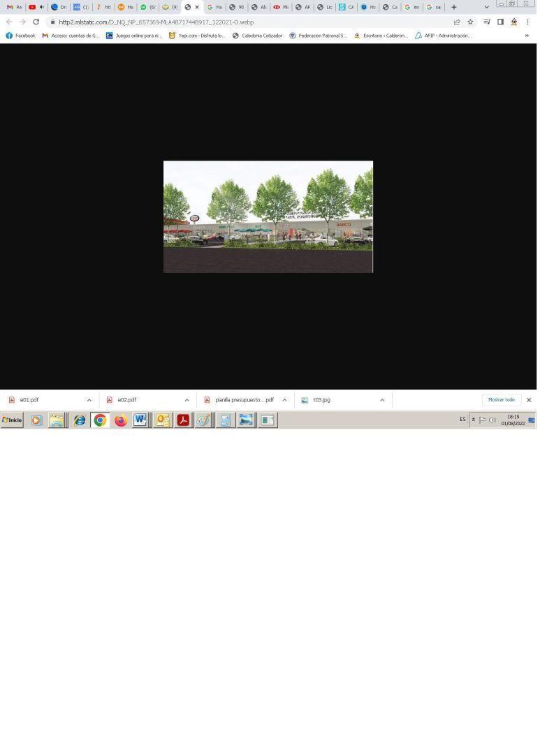 Foto de Lote de 4000 m2 en parque industrial Gral Rodriguez, imagen 5