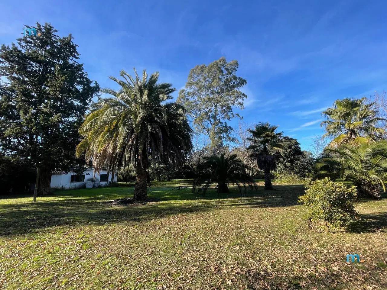 Casa en La Granja 3