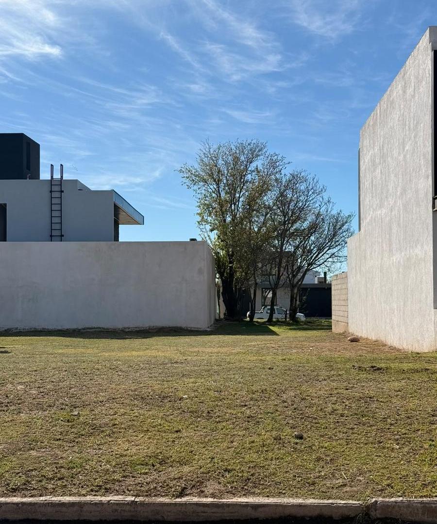 Foto de Lote Apto Dúplex - Distrito Sur, imagen 4