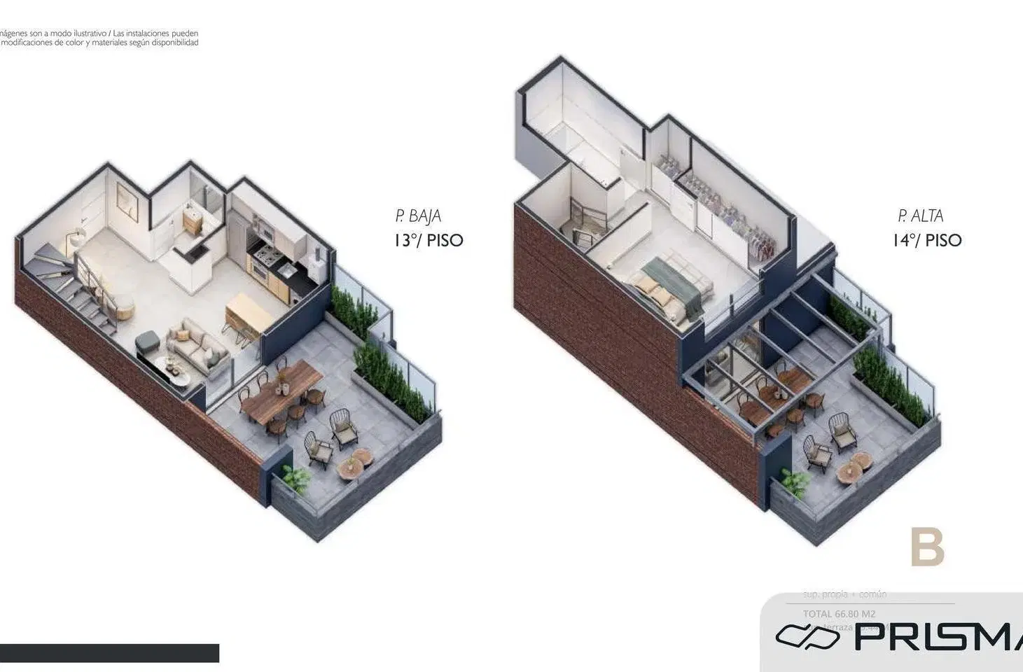 Plano 8
