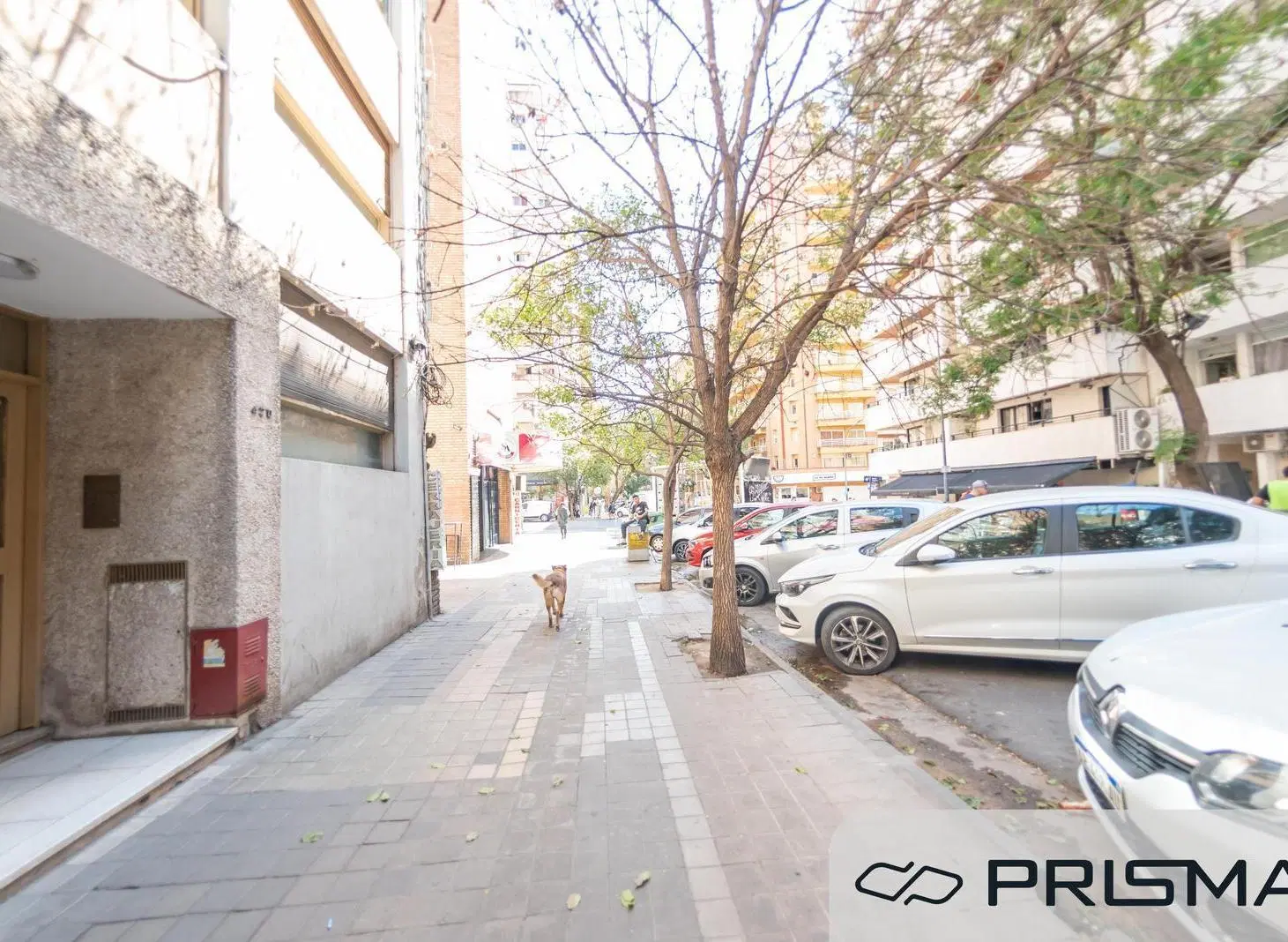 Monoambiente en Nueva cordoba 1