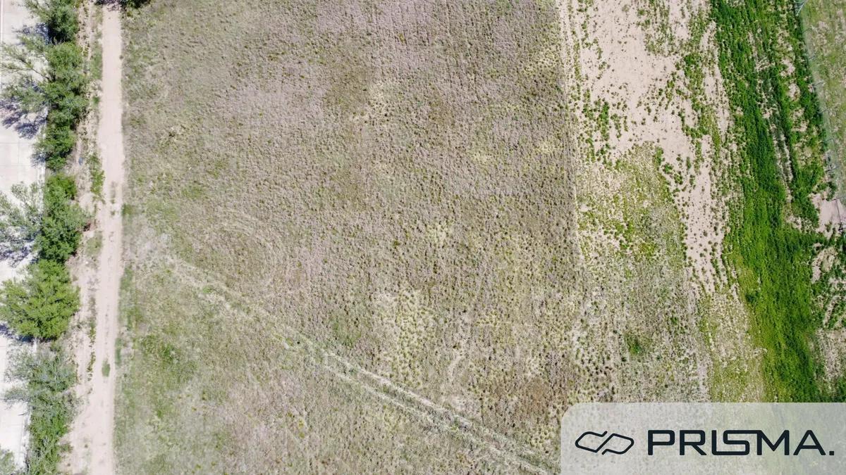Foto de LOTES-4 HECTAREAS-MANANTIALES II, imagen 4