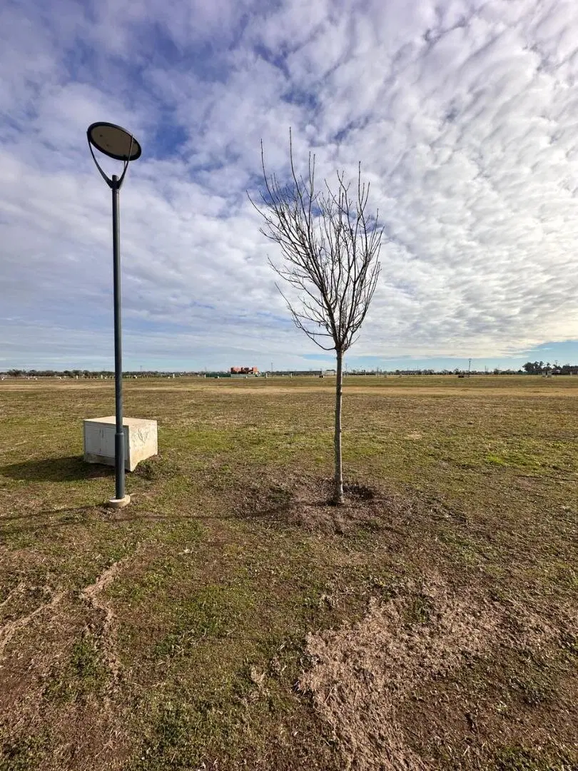 Vida Lagoon, Lote 772 3