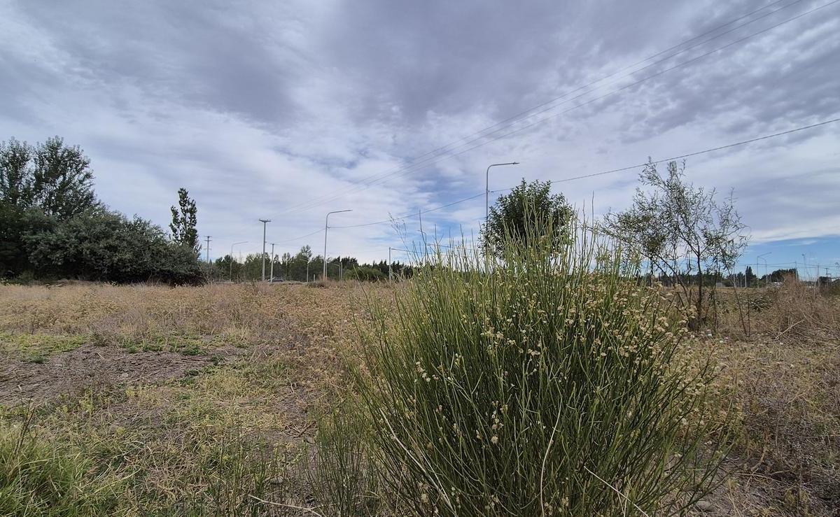 Venta - Lotes - 360 m² - Herradura del Limay 4
