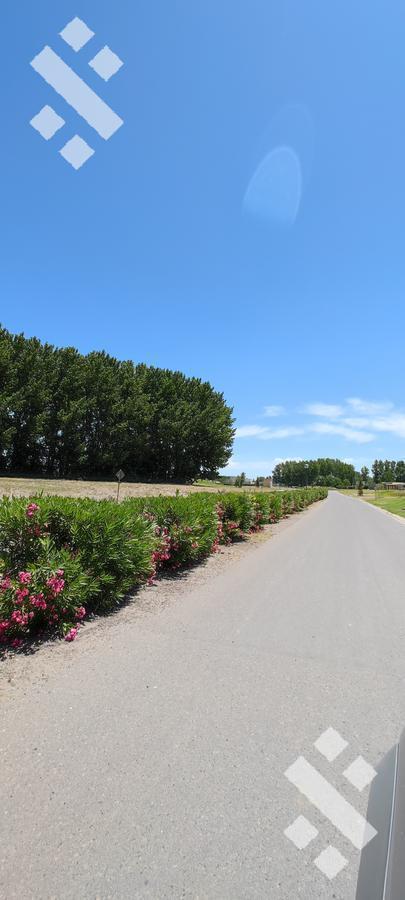 Venta Lote B° Canales de Plottier 4