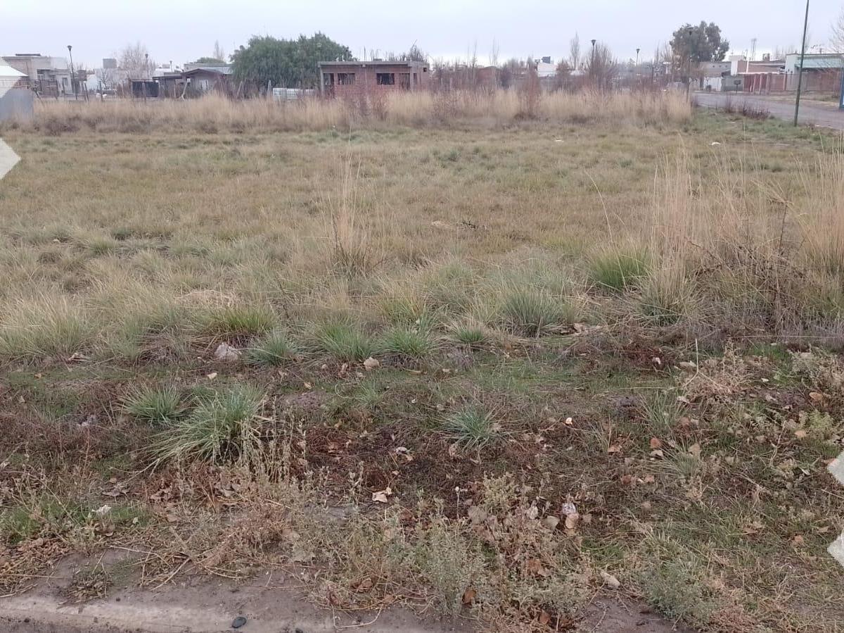 Terreno en Venta en Fernandez Oro 5