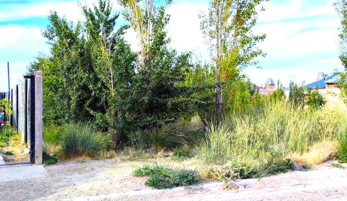 Terreno en Venta General Fernández Oro, Rio Negro 5