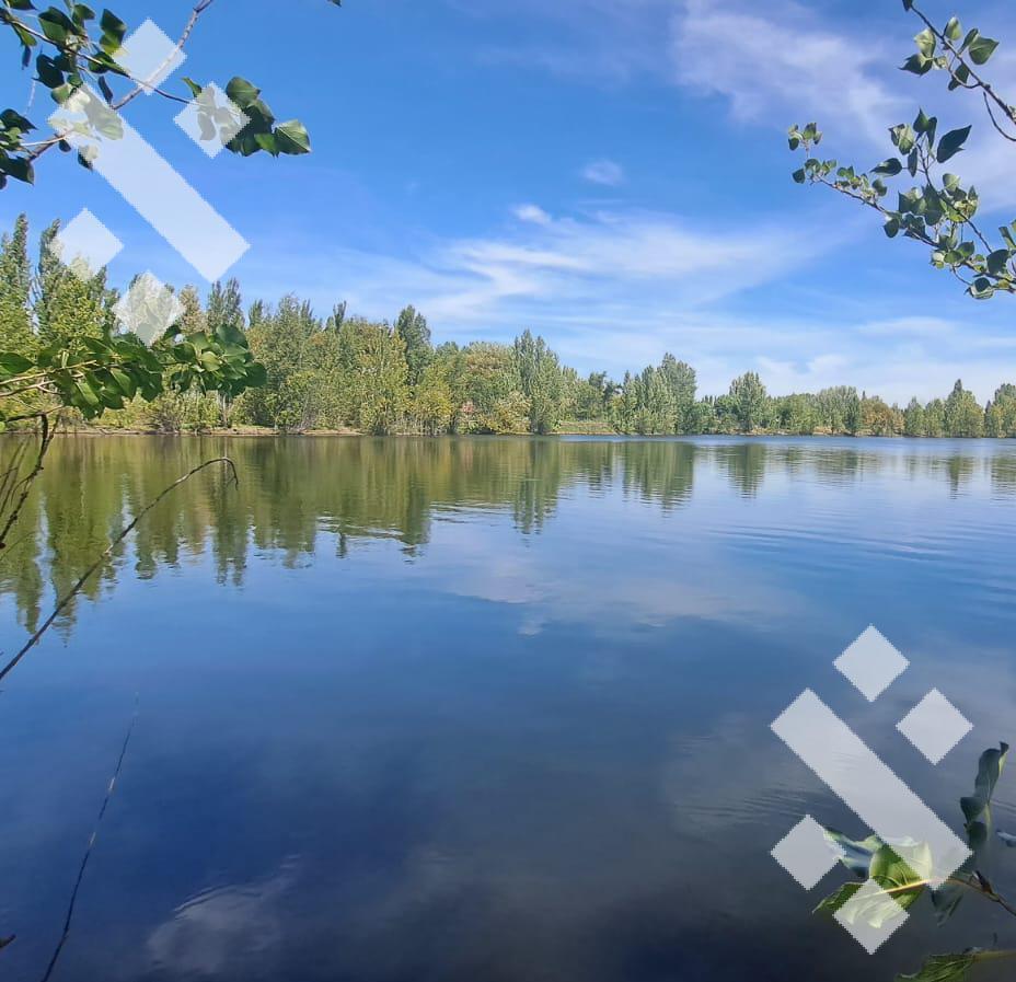 Venta - Lote con Laguna - 5,3has - Piscicultura, Plottier. 4