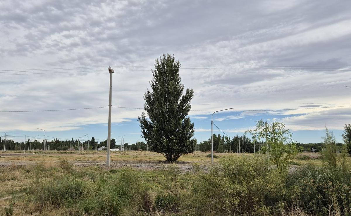 Venta - Lote 1000 m² en La Herradura - Plottier 3