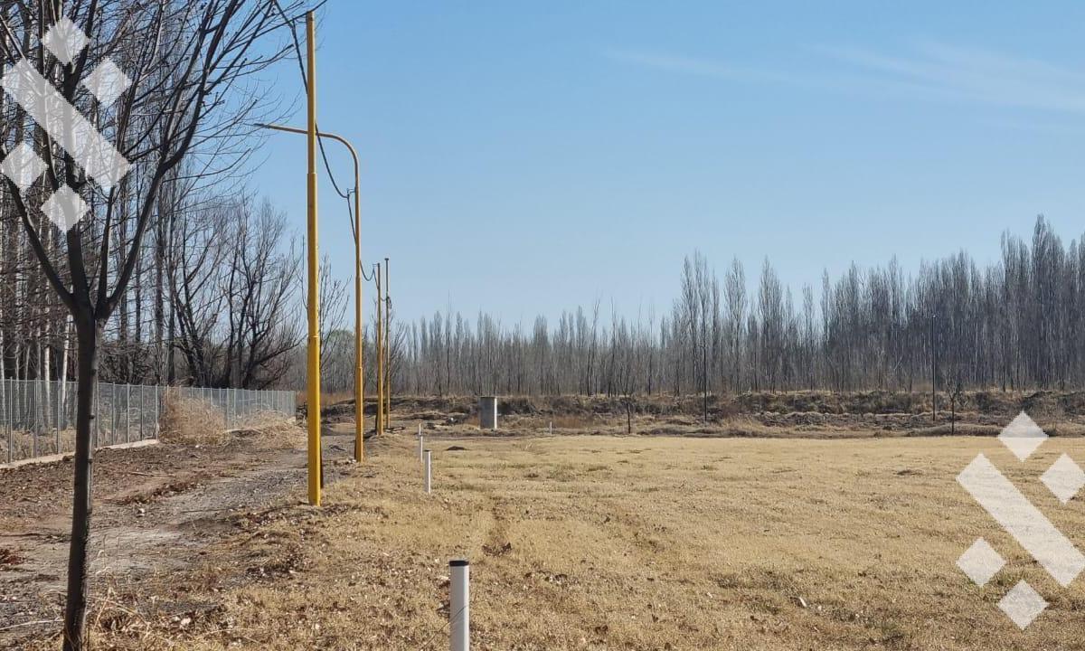 En Venta Terreno Barrio Privado La Colonia Villa Regina 2