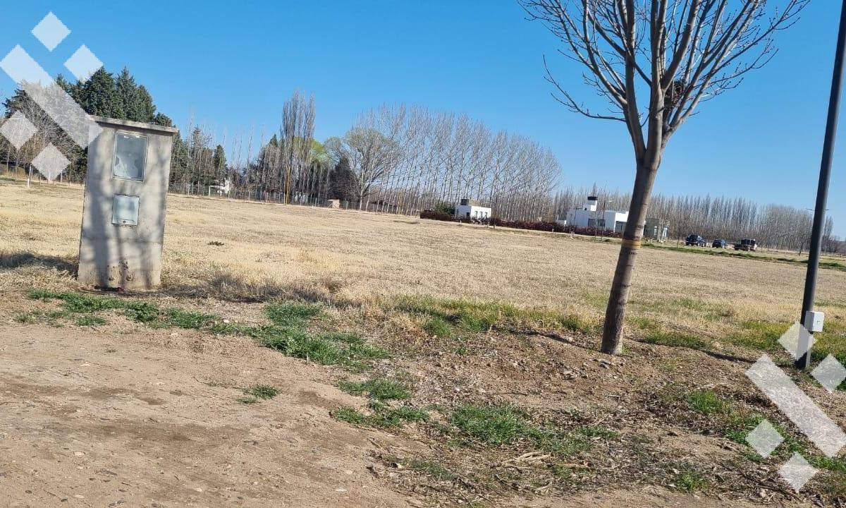 En Venta Terreno Barrio Privado La Colonia Villa Regina 4