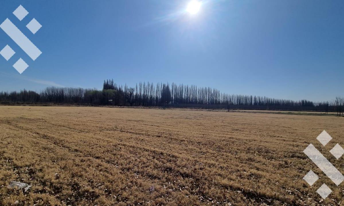 En Venta Terreno Barrio Privado La Colonia Villa Regina 1