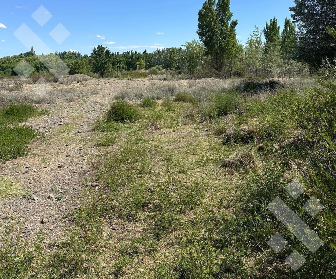 En Venta, 7 Hectáreas y Cabaña de 1 Dormitorio, Zona de Chacras Plottier. 4